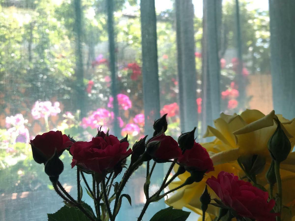 Black Sea House Apartment コンスタンツァ エクステリア 写真